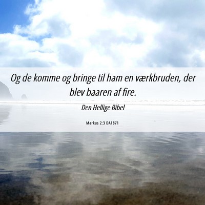 Picture 06 - Markus 2:3 DA1871 - Og de komme og bringe til ham en værkbruden, der - Bible Verse Picture