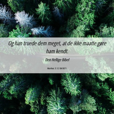Picture 06 - Markus 3:12 DA1871 - Og han truede dem meget, at de ikke maatte gøre - Bible Verse Picture