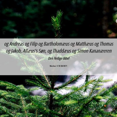 Picture 06 - Markus 3:18 DA1871 - og Andreas og Filip og Bartholomæus og Matthæus - Bible Verse Picture