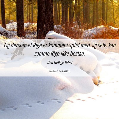 Picture 06 - Markus 3:24 DA1871 - Og dersom et Rige er kommet i Splid med sig selv, - Bible Verse Picture