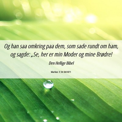 Picture 06 - Markus 3:34 DA1871 - Og han saa omkring paa dem, som sade rundt om - Bible Verse Picture