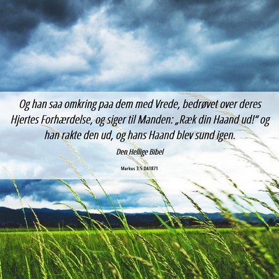 Picture 06 - Markus 3:5 DA1871 - Og han saa omkring paa dem med Vrede, bedrøvet - Bible Verse Picture