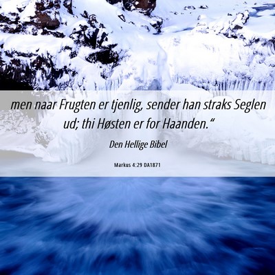 Picture 06 - Markus 4:29 DA1871 - men naar Frugten er tjenlig, sender han straks - Bible Verse Picture