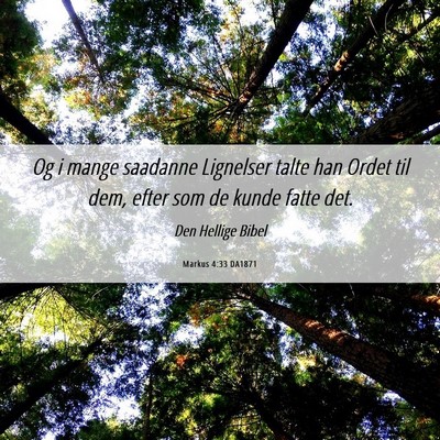 Picture 06 - Markus 4:33 DA1871 - Og i mange saadanne Lignelser talte han Ordet til - Bible Verse Picture