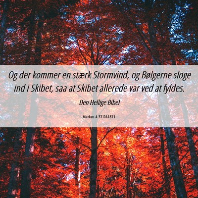 Picture 06 - Markus 4:37 DA1871 - Og der kommer en stærk Stormvind, og Bølgerne - Bible Verse Picture