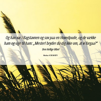 Picture 06 - Markus 4:38 DA1871 - Og han var i Bagstavnen og sov paa en Hovedpude, - Bible Verse Picture