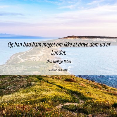 Picture 06 - Markus 5:10 DA1871 - Og han bad ham meget om ikke at drive dem ud af - Bible Verse Picture