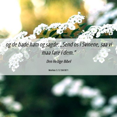 Picture 06 - Markus 5:12 DA1871 - og de bade ham og sagde: „Send os i Svinene, - Bible Verse Picture