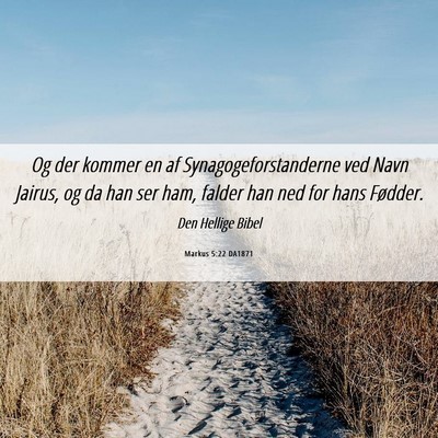 Picture 06 - Markus 5:22 DA1871 - Og der kommer en af Synagogeforstanderne ved Navn - Bible Verse Picture