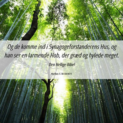 Picture 06 - Markus 5:38 DA1871 - Og de komme ind i Synagogeforstanderens Hus, og - Bible Verse Picture