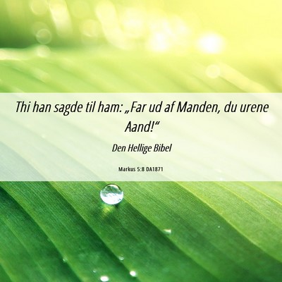 Picture 06 - Markus 5:8 DA1871 - Thi han sagde til ham: „Far ud af Manden, du - Bible Verse Picture