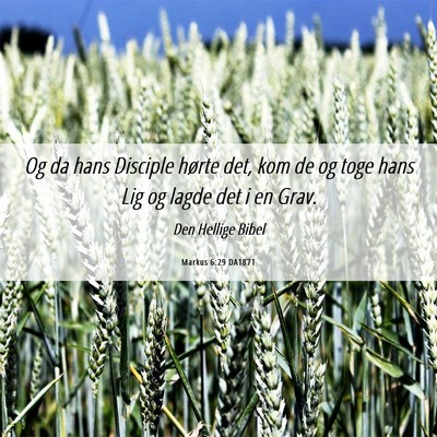 Picture 06 - Markus 6:29 DA1871 - Og da hans Disciple hørte det, kom de og toge - Bible Verse Picture
