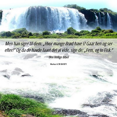 Picture 06 - Markus 6:38 DA1871 - Men han siger til dem: „Hvor mange Brød have - Bible Verse Picture