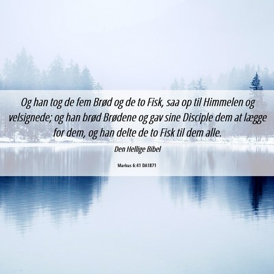 Picture 06 - Markus 6:41 DA1871 - Og han tog de fem Brød og de to Fisk, saa op til - Bible Verse Picture