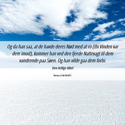 Picture 06 - Markus 6:48 DA1871 - Og da han saa, at de havde deres Nød med at ro - Bible Verse Picture