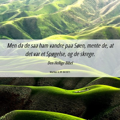 Picture 06 - Markus 6:49 DA1871 - Men da de saa ham vandre paa Søen, mente de, at - Bible Verse Picture
