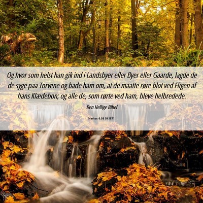 Picture 06 - Markus 6:56 DA1871 - Og hvor som helst han gik ind i Landsbyer eller - Bible Verse Picture