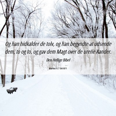 Picture 06 - Markus 6:7 DA1871 - Og han hidkalder de tolv, og han begyndte at - Bible Verse Picture