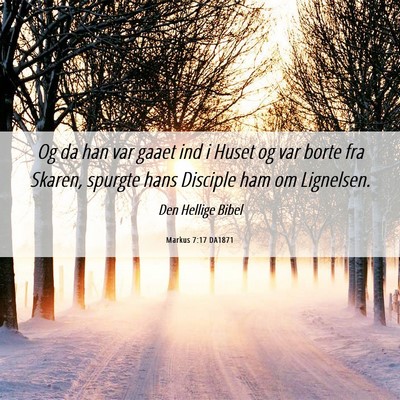 Picture 06 - Markus 7:17 DA1871 - Og da han var gaaet ind i Huset og var borte fra - Bible Verse Picture