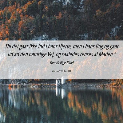 Picture 06 - Markus 7:19 DA1871 - Thi det gaar ikke ind i hans Hjerte, men i hans - Bible Verse Picture