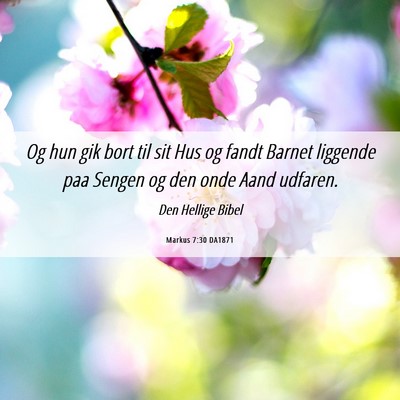 Picture 06 - Markus 7:30 DA1871 - Og hun gik bort til sit Hus og fandt Barnet - Bible Verse Picture