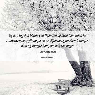 Picture 06 - Markus 8:23 DA1871 - Og han tog den blinde ved Haanden og førte ham - Bible Verse Picture