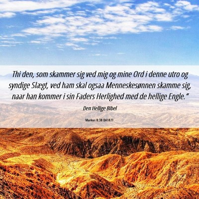 Picture 06 - Markus 8:38 DA1871 - Thi den, som skammer sig ved mig og mine Ord i - Bible Verse Picture
