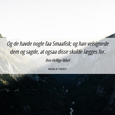 Picture 06 - Markus 8:7 DA1871 - Og de havde nogle faa Smaafisk; og han velsignede - Bible Verse Picture