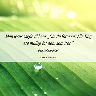 Picture 06 - Markus 9:23 DA1871 - Men Jesus sagde til ham: „Om du formaar! Alle - Bible Verse Picture