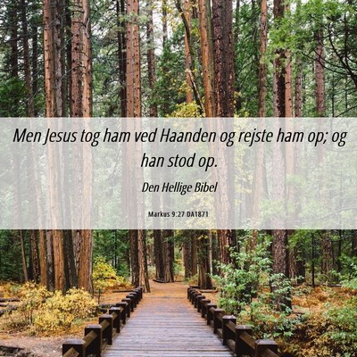 Picture 06 - Markus 9:27 DA1871 - Men Jesus tog ham ved Haanden og rejste ham op; - Bible Verse Picture