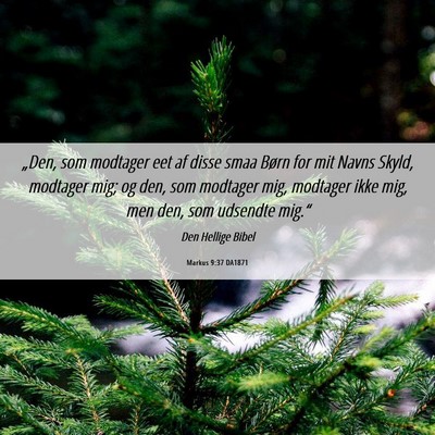 Picture 06 - Markus 9:37 DA1871 - „Den, som modtager eet af disse smaa Børn for - Bible Verse Picture