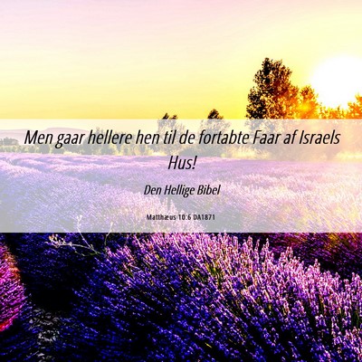 Picture 06 - Matthæus 10:6 DA1871 - Men gaar hellere hen til de fortabte Faar af - Bible Verse Picture