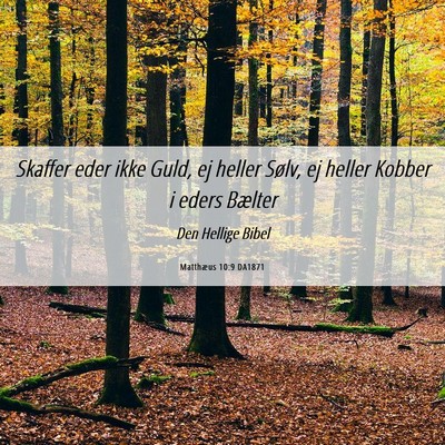 Picture 06 - Matthæus 10:9 DA1871 - Skaffer eder ikke Guld, ej heller Sølv, ej - Bible Verse Picture