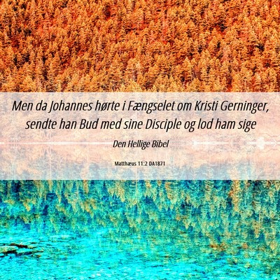 Picture 06 - Matthæus 11:2 DA1871 - Men da Johannes hørte i Fængselet om Kristi - Bible Verse Picture