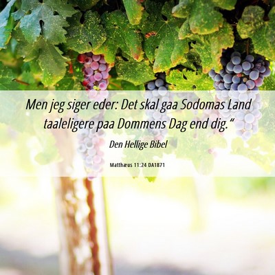 Picture 06 - Matthæus 11:24 DA1871 - Men jeg siger eder: Det skal gaa Sodomas Land - Bible Verse Picture