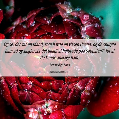 Picture 06 - Matthæus 12:10 DA1871 - Og se, der var en Mand, som havde en vissen - Bible Verse Picture