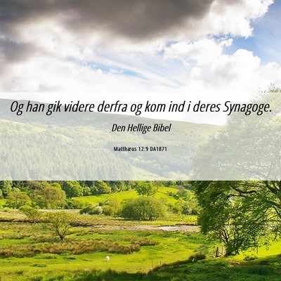 Picture 06 - Matthæus 12:9 DA1871 - Og han gik videre derfra og kom ind i deres - Bible Verse Picture