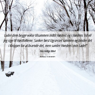 Picture 06 - Matthæus 13:30 DA1871 - Lader dem begge vokse tilsammen indtil Høsten; - Bible Verse Picture