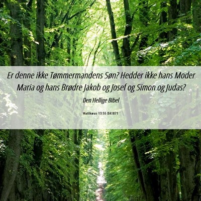 Picture 06 - Matthæus 13:55 DA1871 - Er denne ikke Tømmermandens Søn? Hedder ikke - Bible Verse Picture