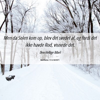 Picture 06 - Matthæus 13:6 DA1871 - Men da Solen kom op, blev det svedet af, og fordi - Bible Verse Picture