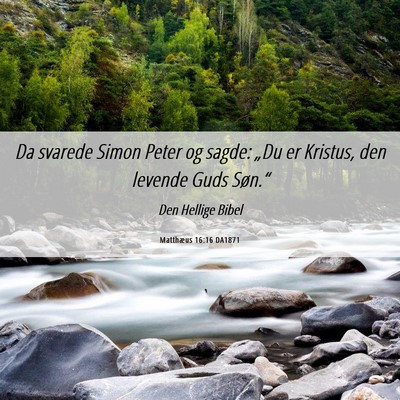 Picture 06 - Matthæus 16:16 DA1871 - Da svarede Simon Peter og sagde: „Du er - Bible Verse Picture
