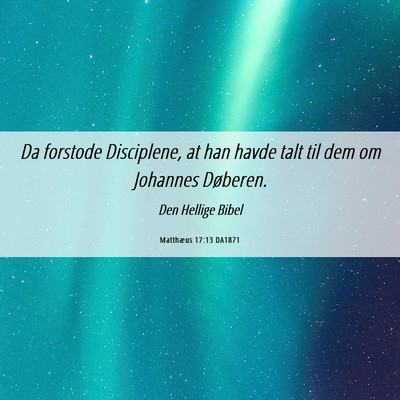 Picture 06 - Matthæus 17:13 DA1871 - Da forstode Disciplene, at han havde talt til dem - Bible Verse Picture
