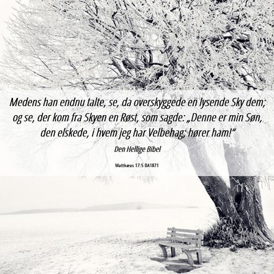 Picture 06 - Matthæus 17:5 DA1871 - Medens han endnu talte, se, da overskyggede en - Bible Verse Picture