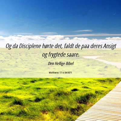 Picture 06 - Matthæus 17:6 DA1871 - Og da Disciplene hørte det, faldt de paa deres - Bible Verse Picture