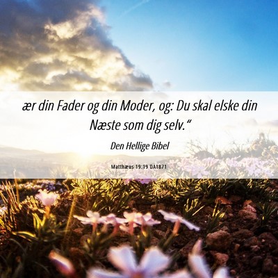 Picture 06 - Matthæus 19:19 DA1871 - ær din Fader og din Moder, og: Du skal elske din - Bible Verse Picture