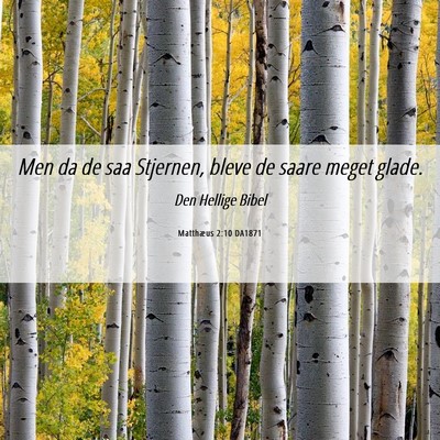 Picture 06 - Matthæus 2:10 DA1871 - Men da de saa Stjernen, bleve de saare meget - Bible Verse Picture