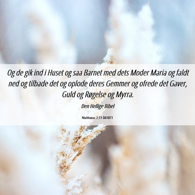 Picture 06 - Matthæus 2:11 DA1871 - Og de gik ind i Huset og saa Barnet med dets - Bible Verse Picture