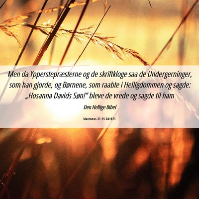 Picture 06 - Matthæus 21:15 DA1871 - Men da Ypperstepræsterne og de skriftkloge saa - Bible Verse Picture