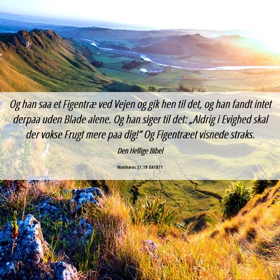 Picture 06 - Matthæus 21:19 DA1871 - Og han saa et Figentræ ved Vejen og gik hen til - Bible Verse Picture