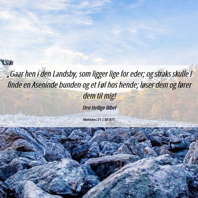 Picture 06 - Matthæus 21:2 DA1871 - „Gaar hen i den Landsby, som ligger lige for - Bible Verse Picture